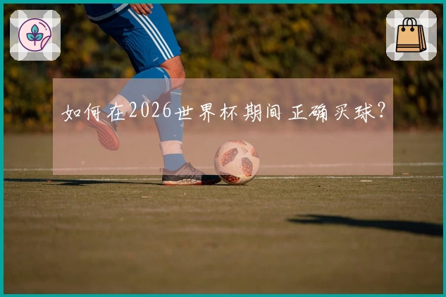 如何在2026世界杯期间正确买球？