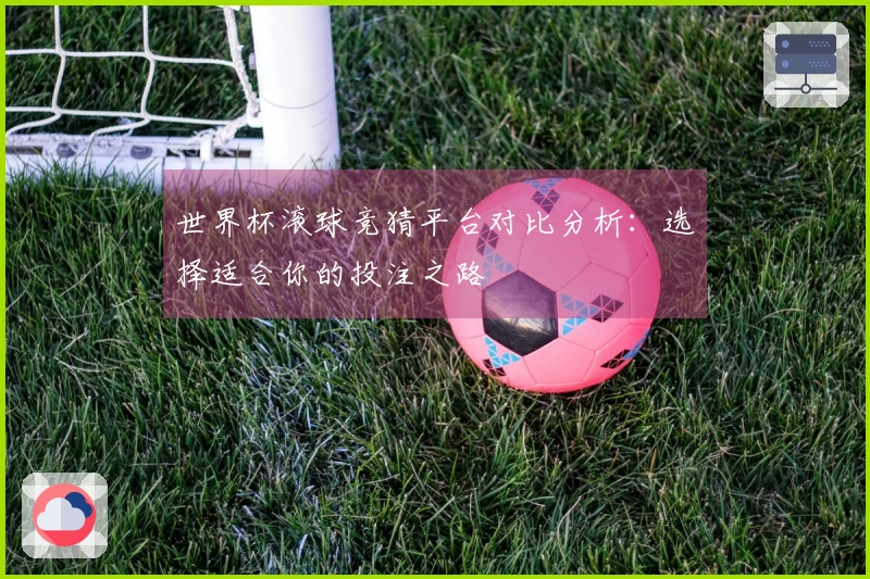 世界杯滚球竞猜平台对比分析：选择适合你的投注之路