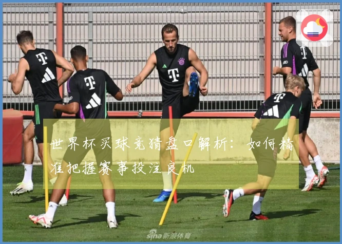 世界杯买球竞猜盘口解析：如何精准把握赛事投注良机