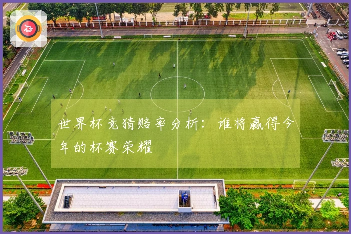 世界杯竞猜赔率分析：谁将赢得今年的杯赛荣耀