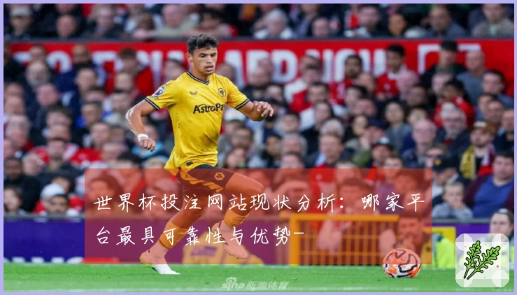 世界杯投注网站现状分析：哪家平台最具可靠性与优势-