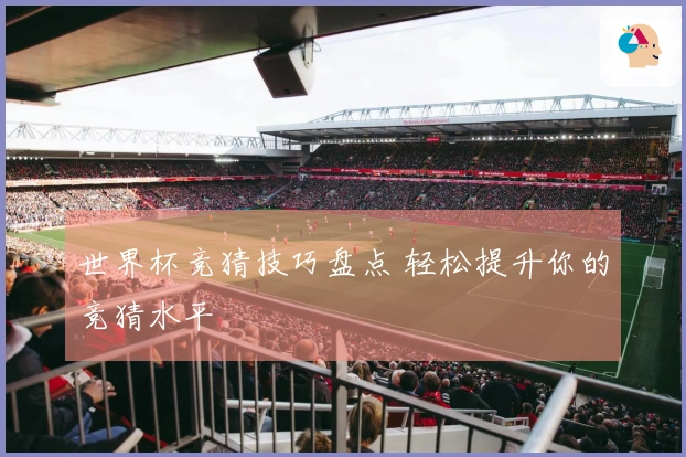 世界杯竞猜技巧盘点 轻松提升你的竞猜水平