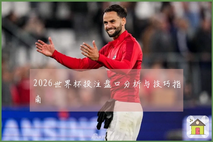 2026世界杯投注盘口分析与技巧指南