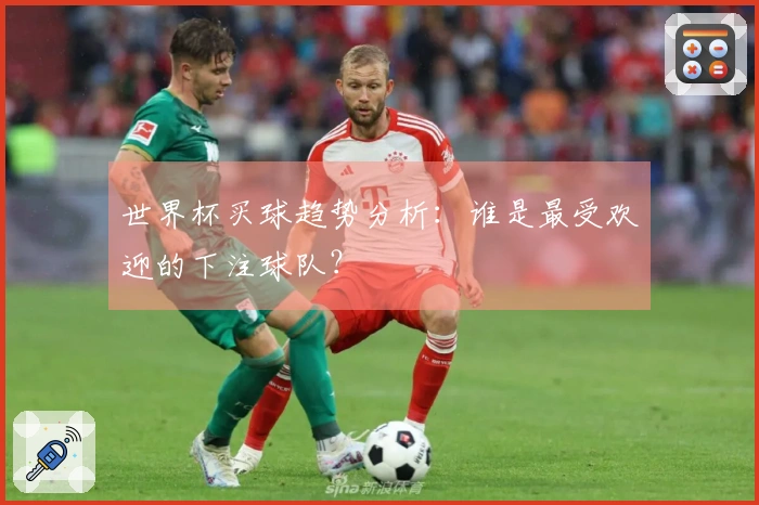 世界杯买球趋势分析：谁是最受欢迎的下注球队？