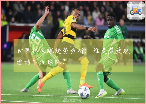 世界杯买球趋势分析：谁是最受欢迎的下注球队？