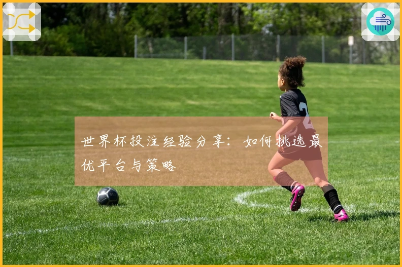 世界杯投注经验分享：如何挑选最优平台与策略