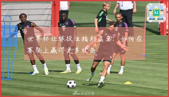 世界杯让球投注精彩盘点：如何在赛场上赢得更多收益