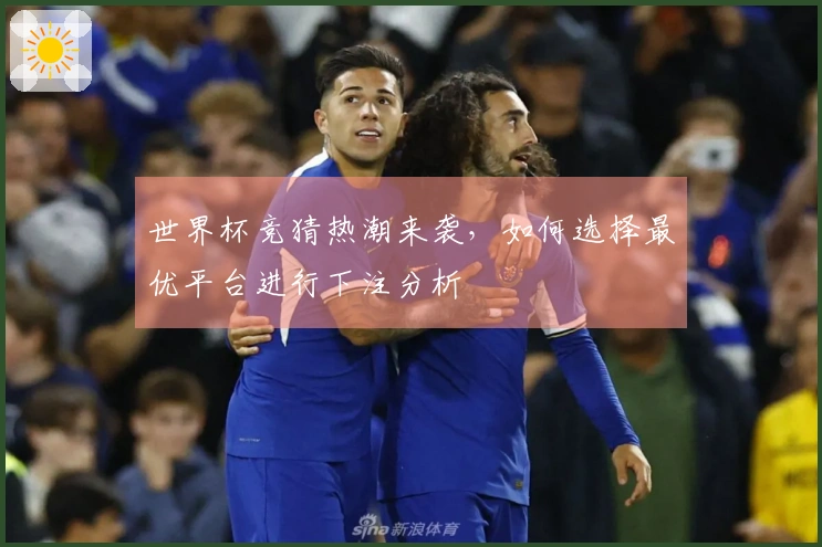 世界杯竞猜热潮来袭，如何选择最优平台进行下注分析