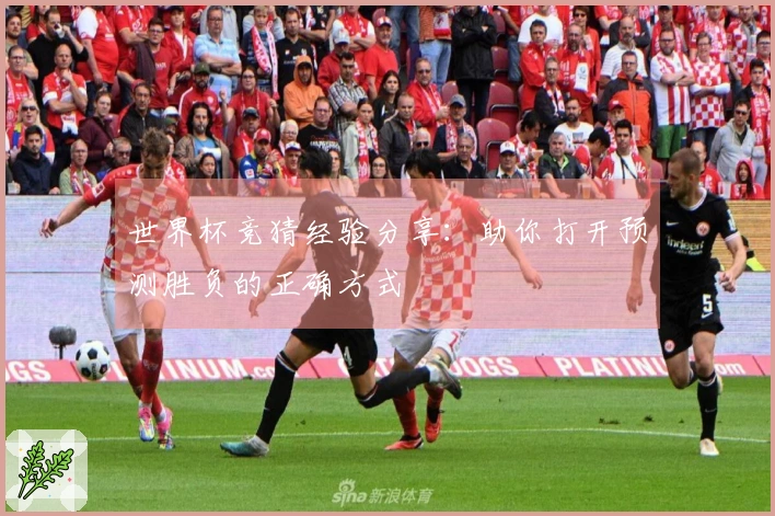 世界杯竞猜经验分享：助你打开预测胜负的正确方式