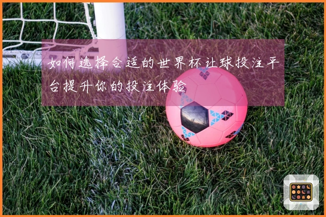 如何选择合适的世界杯让球投注平台提升你的投注体验