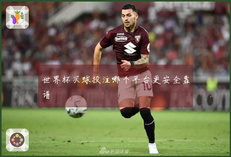 世界杯买球投注哪个平台更安全靠谱
