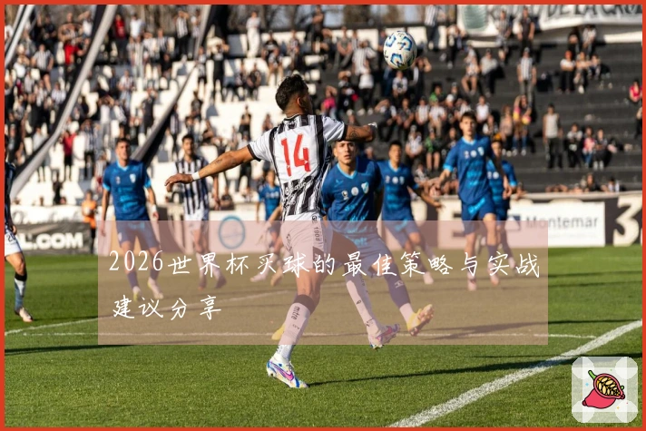 2026世界杯买球的最佳策略与实战建议分享