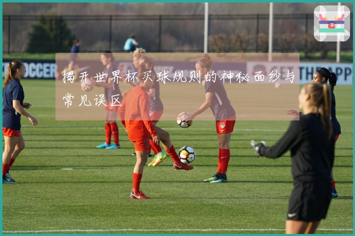 揭开世界杯买球规则的神秘面纱与常见误区