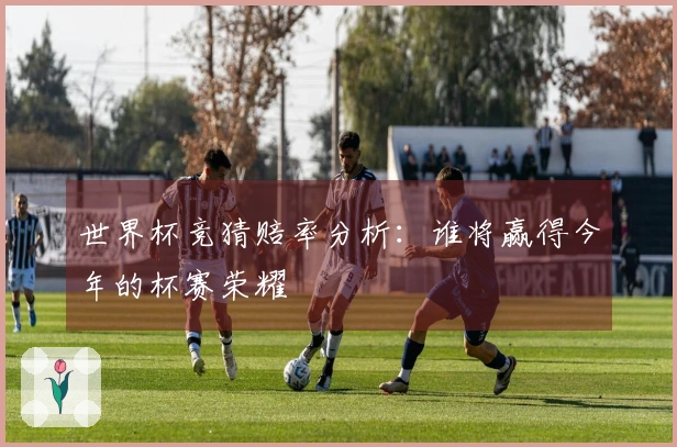 世界杯竞猜赔率分析：谁将赢得今年的杯赛荣耀