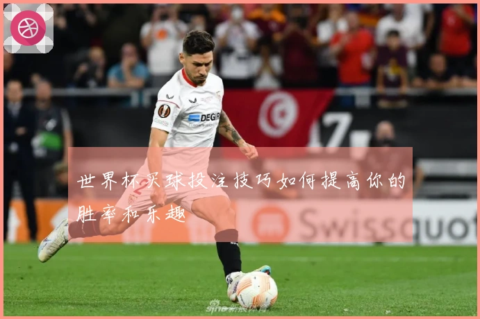 世界杯买球投注技巧如何提高你的胜率和乐趣