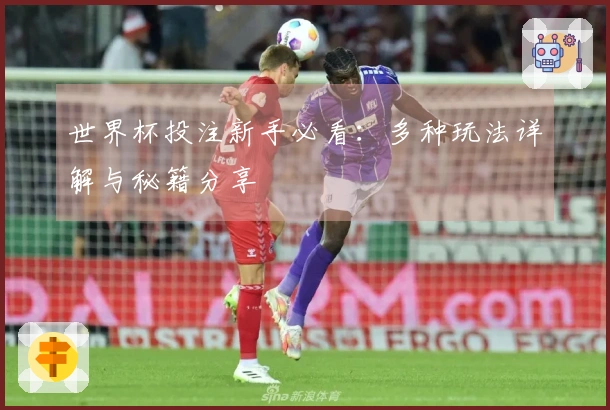 世界杯投注新手必看：多种玩法详解与秘籍分享