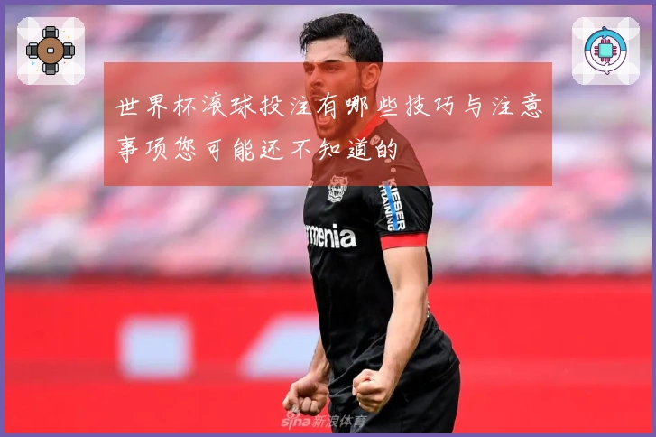 世界杯滚球投注有哪些技巧与注意事项您可能还不知道的