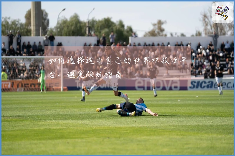 如何选择适合自己的世界杯投注平台，避免踩坑指南