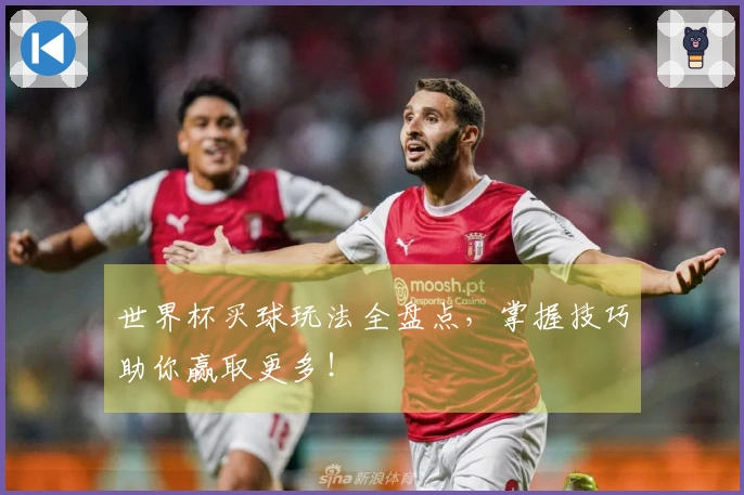 世界杯买球玩法全盘点，掌握技巧助你赢取更多！