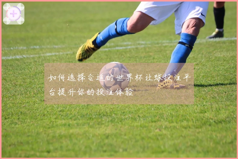 如何选择合适的世界杯让球投注平台提升你的投注体验